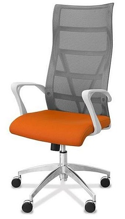 Кресло для руководителя Top-x-w